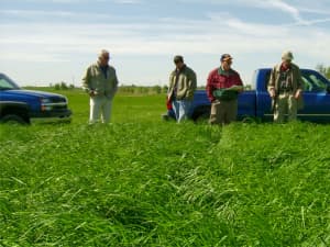 Persist plots at University of Kentucky - April 2005