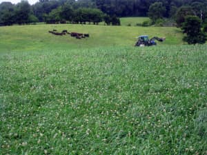 Persist in Prospect, KY, July 2009