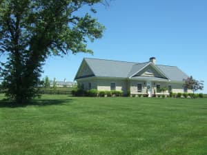 T.L.C. Blend in Adena Springs, KY - May 2009.