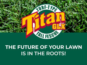 Promotional graphic for Titan GLX Turf-Type Tall Fescue featuring bold red and yellow logo over lush green grass, with slogan: The future of your lawn is in the roots!