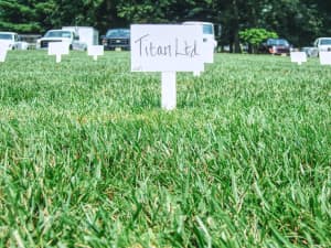 Titan Ltd. research plot - July 2008.