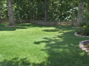 Titan Rx lawn in Simpsonville, SC.