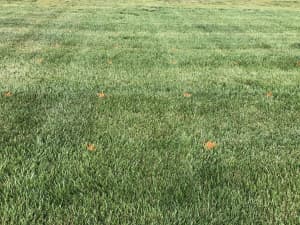 Titan Ultra in Griffin, GA - May 2022