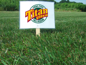 Titan Ultra research plot in Virginia - June 2011.