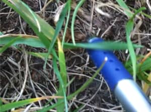 Titan Ltd. in Raliegh, NC.