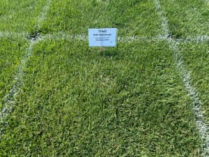 Titan GLX NTEP plot in Nebraska - July 2023