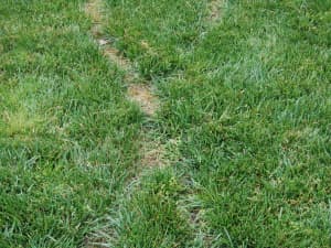 June 6th, 2010, Columbus, OH - Recovery and fill-in begin.