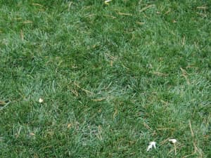 October 23, 2010- Columbus, OH - Titan Rx recovers lost ground!