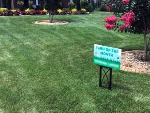 Titan Rx lawn in Fairburn, GA - June 2019.