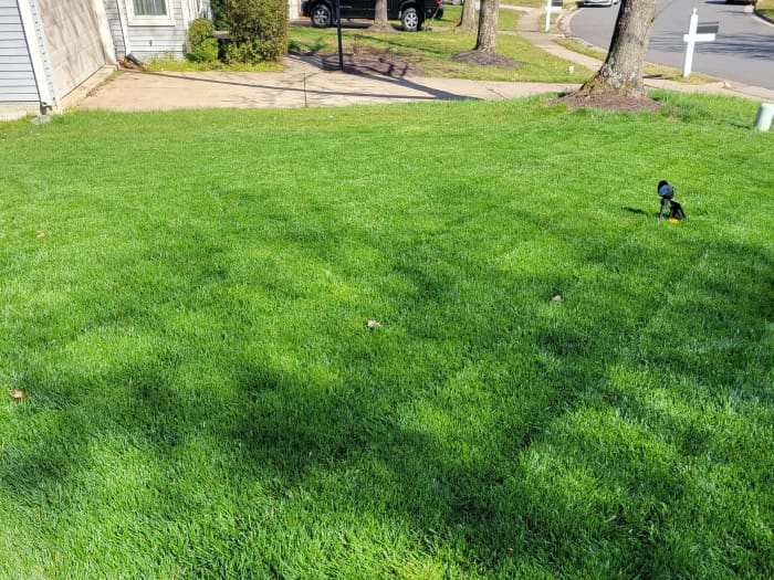 Titan RX lawn in Woodbridge, VA, March 2023