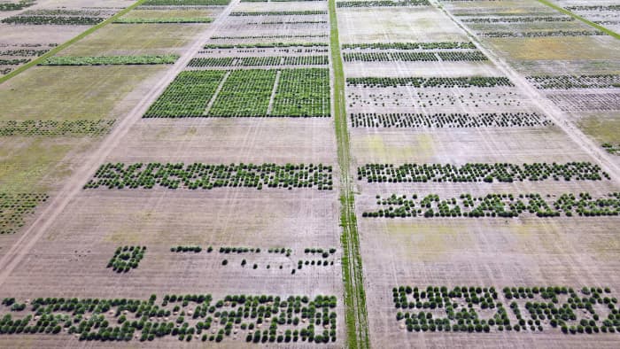 Drone image of research farm.