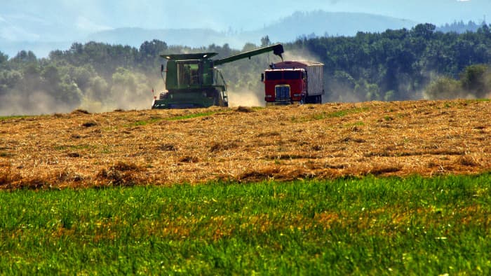 Tractors harvesting seed.