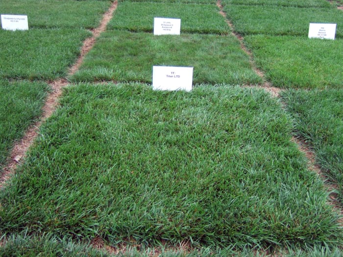 Titan Ltd. at University of Kentucky