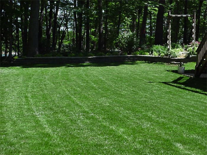 Lawn in Lavonai, GA after planting Titan Rx.