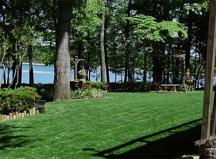 Lawn in Lavonai, GA after planting Titan Rx.