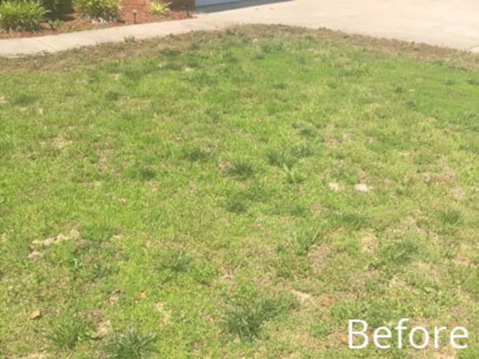 Lawn in Springfield, MO before planting Titan Rx.