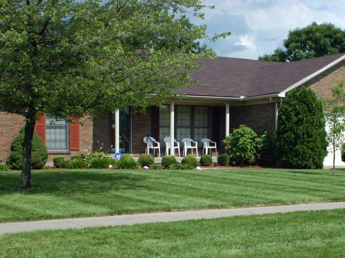 Lawn in Louisville, KY after planting Titan Ltd..