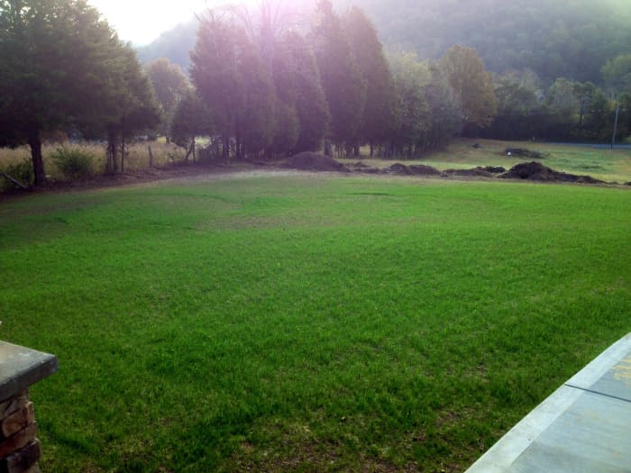 Lawn in Harriman, TN after planting Titan Rx.