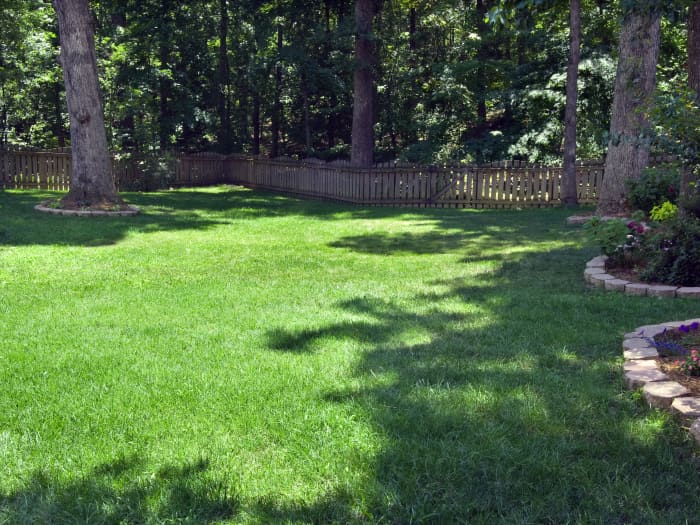 Titan Rx lawn in Greenville, SC