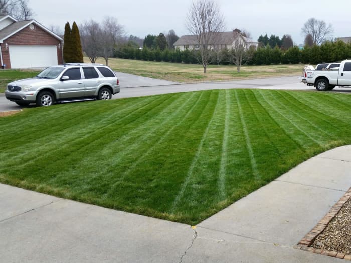 Lawn in Eastern Tennessee after planting Titan Rx.