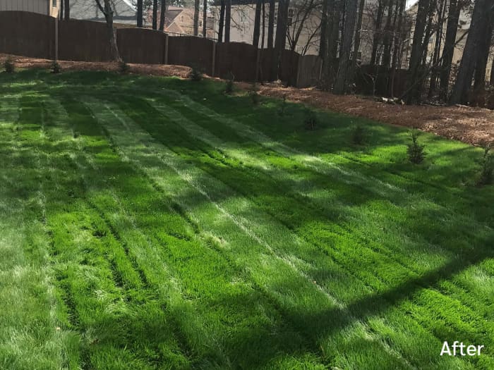 Lawn in Fairburn, GA after planting Titan Rx - 2017.