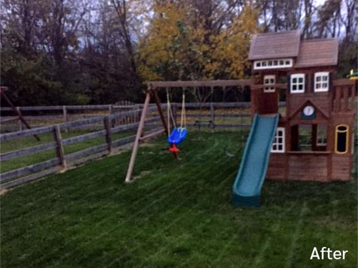 Lawn in Cincinnati, OH after planting Titan Ultra.