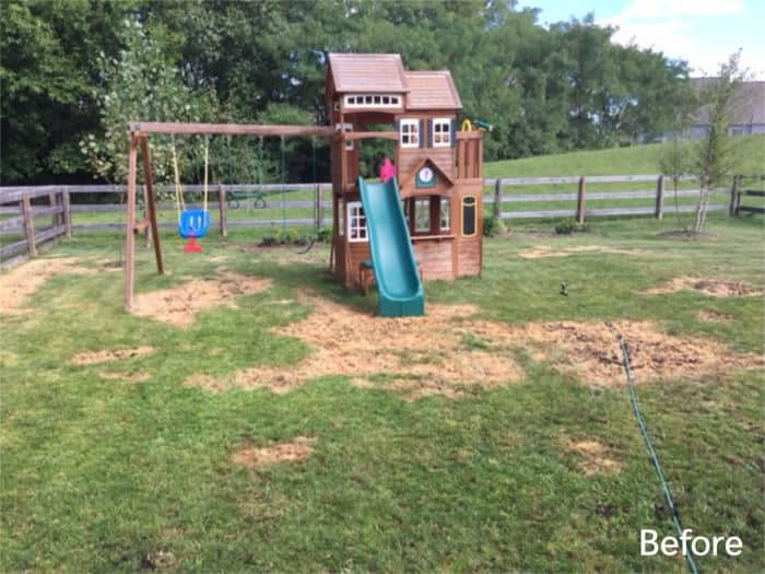 Lawn in Cincinnati, OH before planting Titan Ultra.