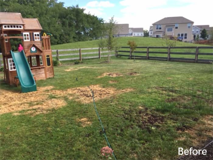 Lawn in Cincinnati, OH before planting Titan Ultra.