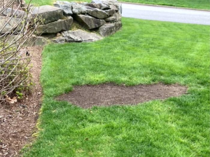 Titan Ultra lawn in Cranston, RI.