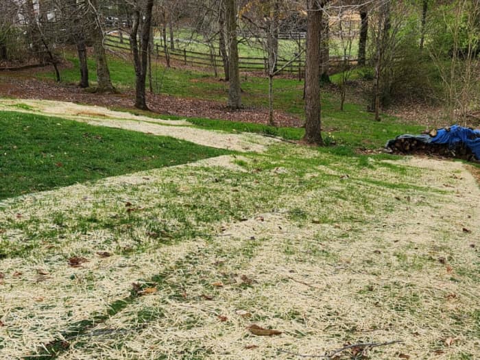 Titan Ultra lawn in Afton, TN - April 2023.