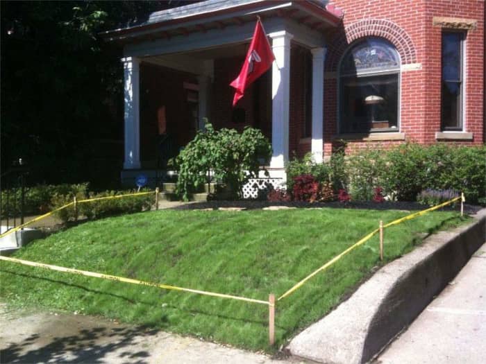 Lawn in Columbus,OH before planting Titan Ltd..