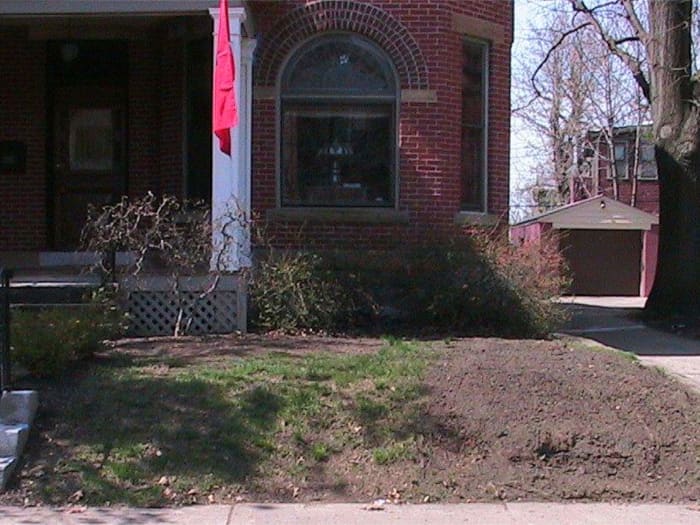 Lawn in Columbus,OH before planting Titan Ltd..