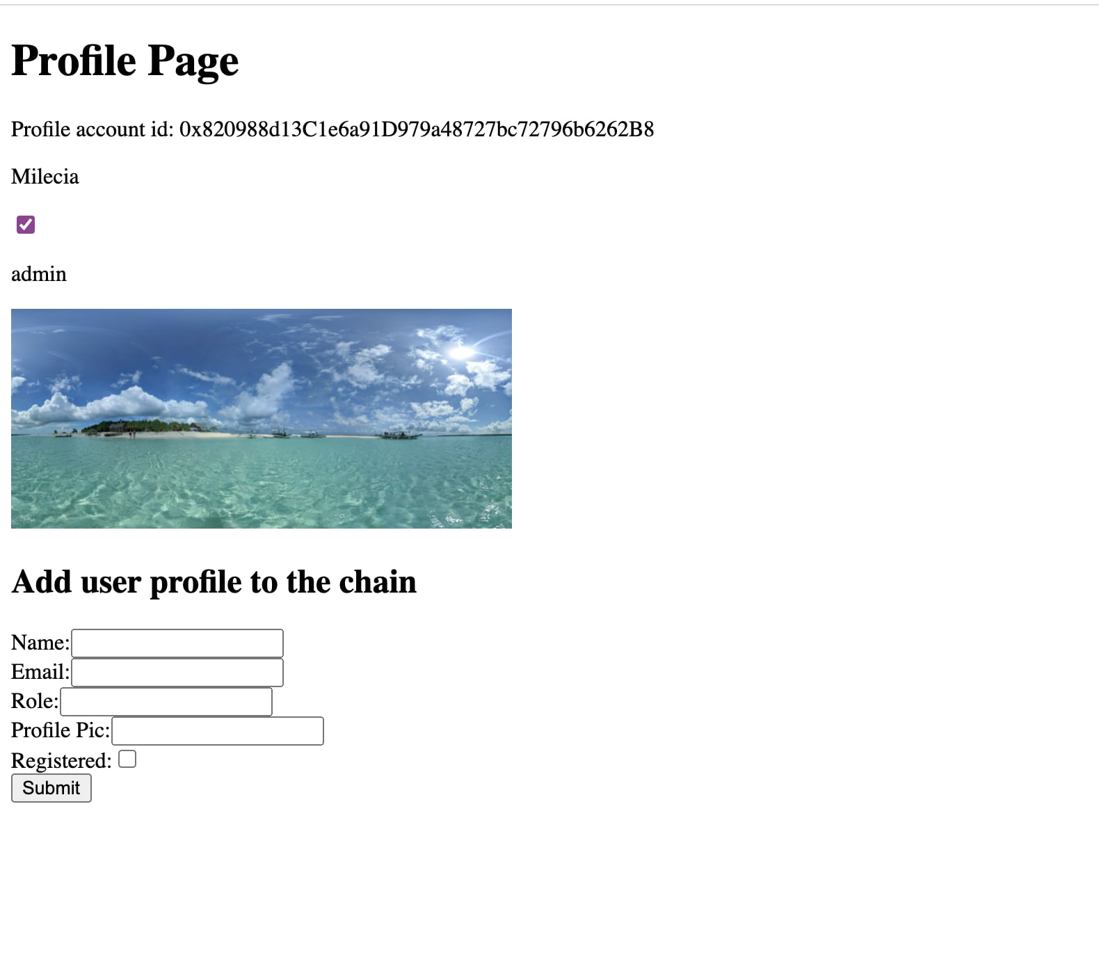image of the data loaded from the blockchain