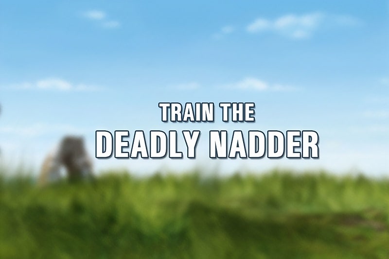 How To Train Your Dragon Comps