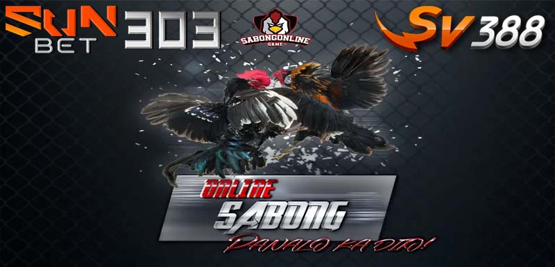 daftar judi sabung ayam terpercaya