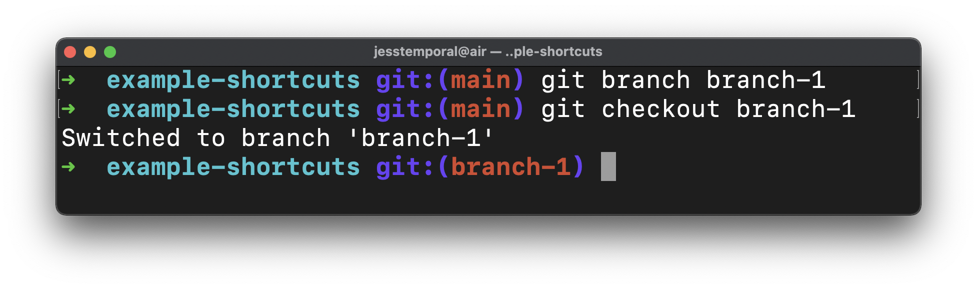 image showing the result of the commands git branch and git checkout