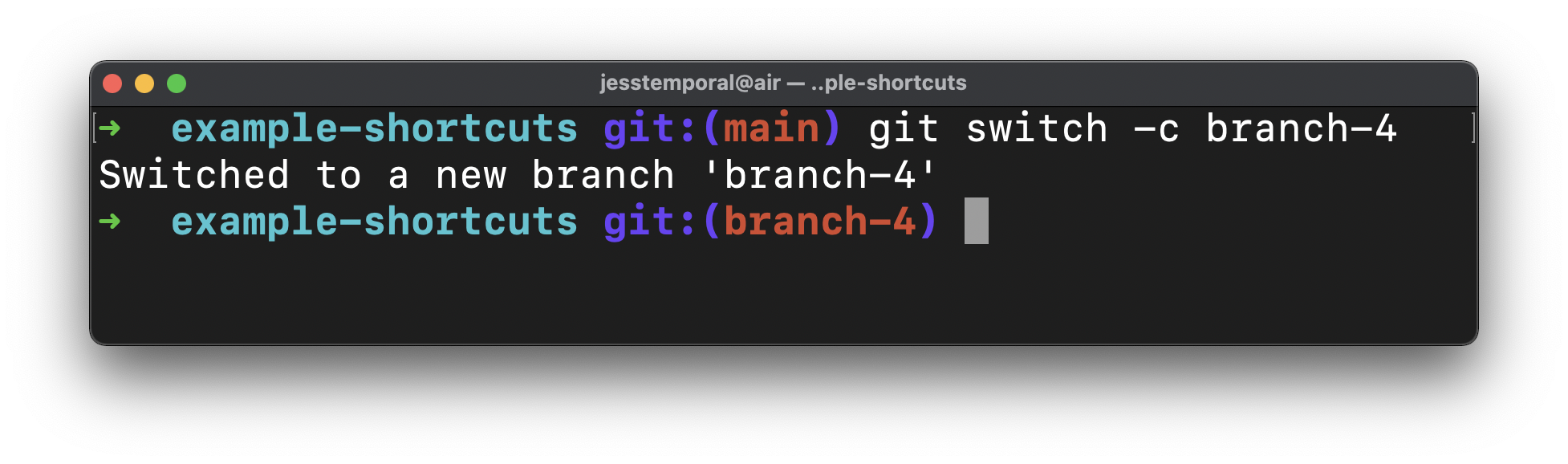 image showing the result of the command git switch -c branch-4