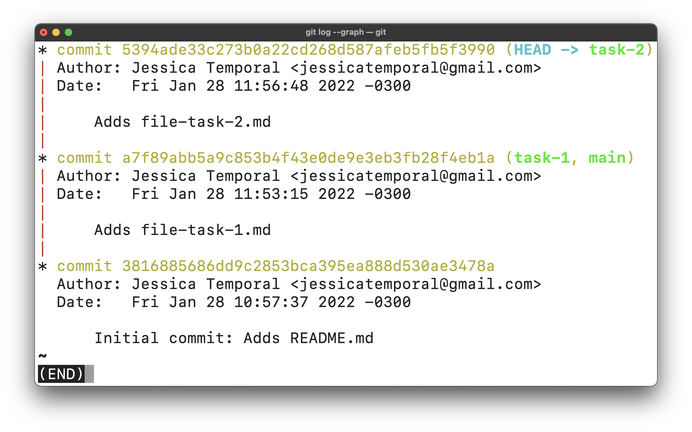 grafo de histórico após atualizar o ramo task-2 com o rebase