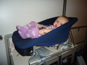 lufthansa carrycot