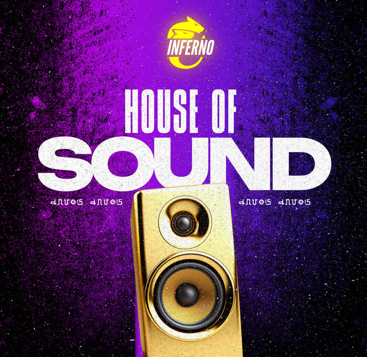 HOUSE OF SOUND - RADIOGRAPHY HOSTEL RAVE poster