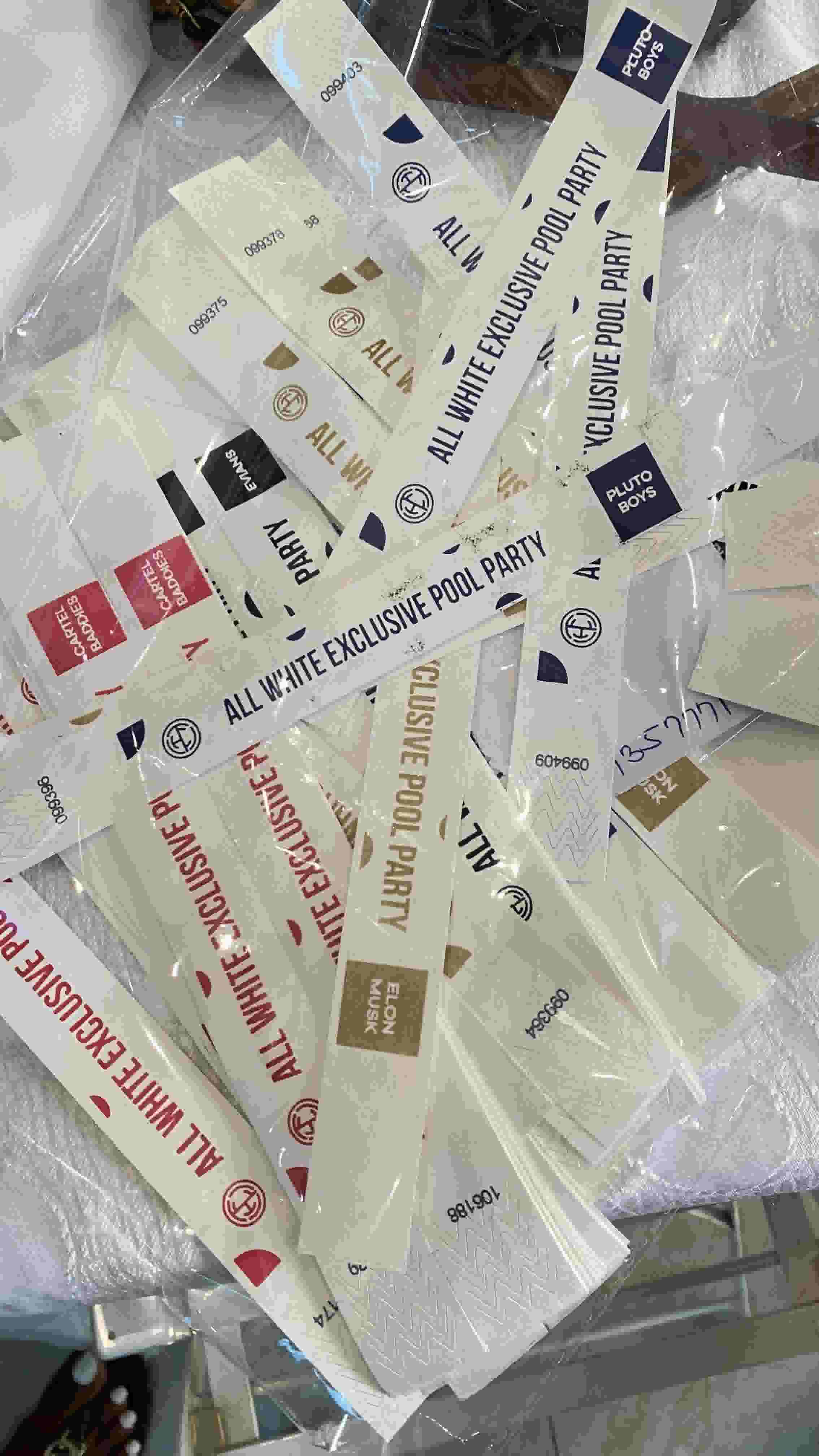 THE LAGOS BUDDIES BEACH HOUSE PARTY 2.0