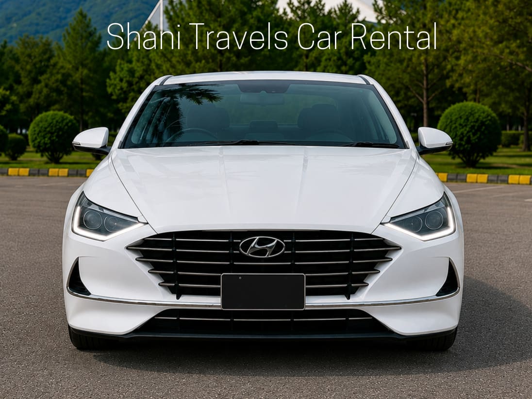 Hyundai Sonata — view 2