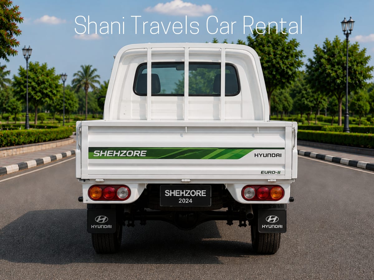 Shehzore Mini Truck — view 3