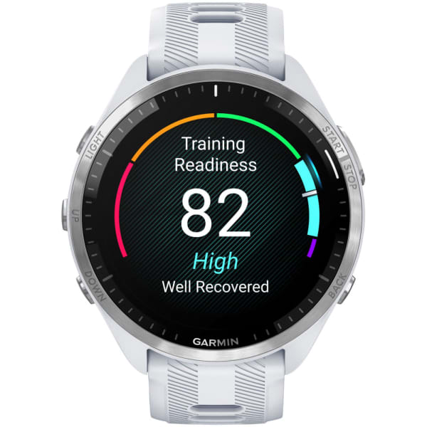 Garmin Forerunner 965 Whitestone / Powder Gray Titanium — 3