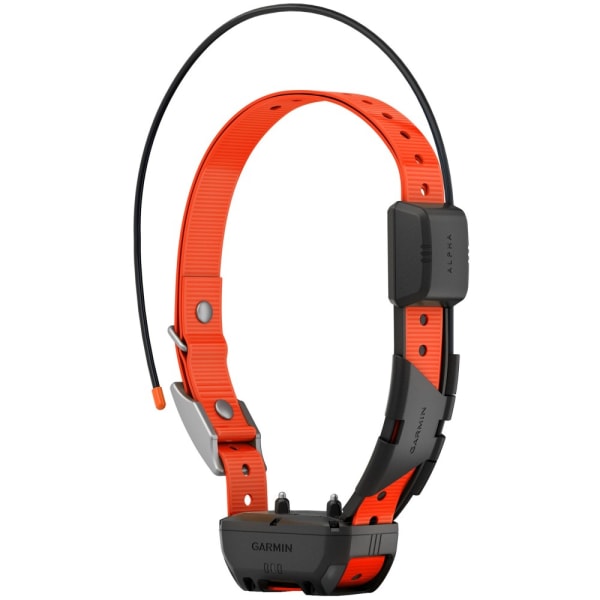 GPS-навигатор для собак Garmin Alpha 200 Plus с ошейником TT 25 — 6