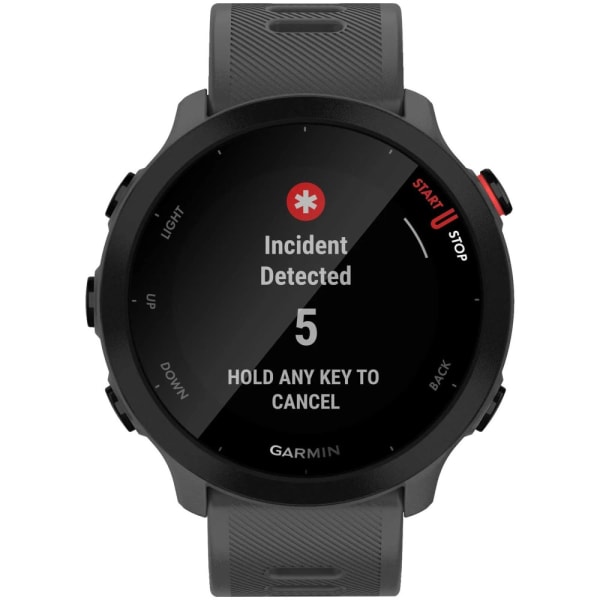 Garmin Forerunner 55 Monterra Gray — 3