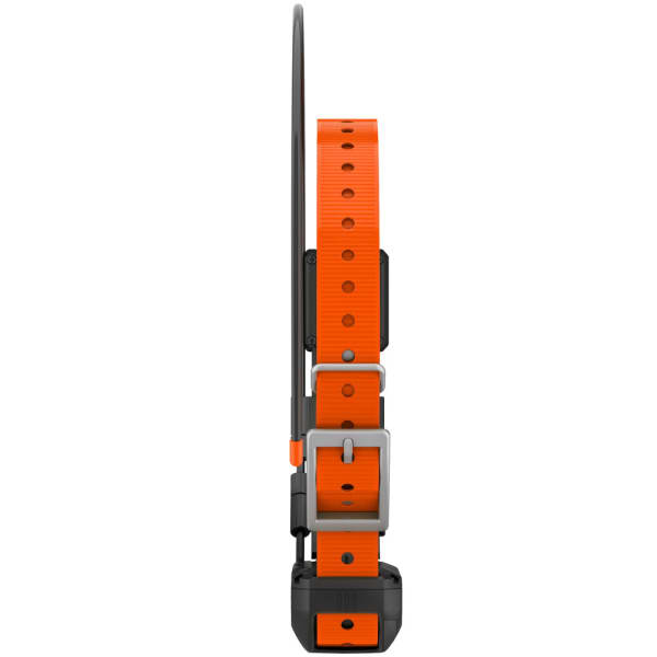 Ошейник Garmin Alpha TT 25 — 4
