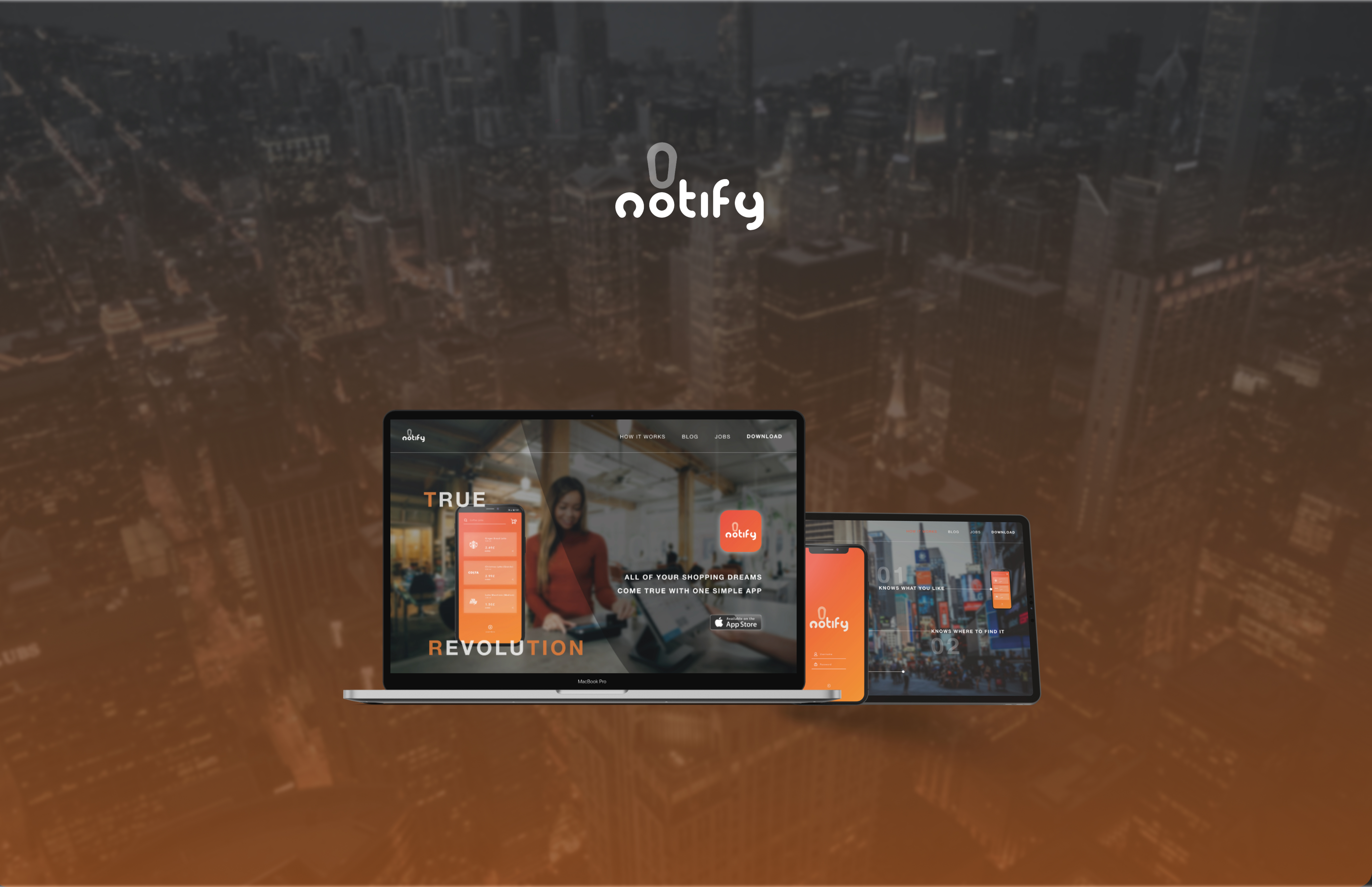 project-thumbnail-image