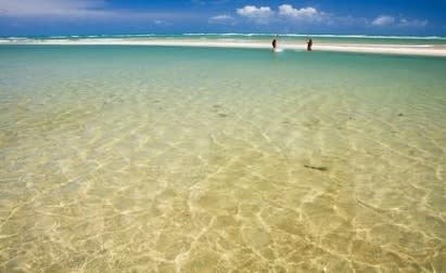 Passeio Caribe do Ceará: Piscinas Naturais e Encontro do Rio com o Mar - Passeio turístico em Fortaleza e região - Foto 2