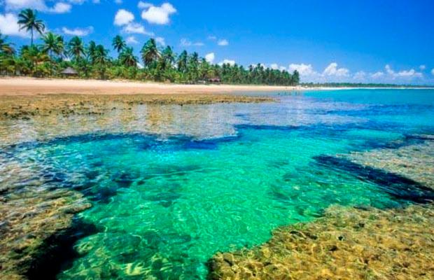 Passeio Flecheiras: Piscinas Naturais no Litoral Oeste - Passeio turístico em Fortaleza e região - Foto 2